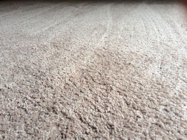 Plush Carpet Installation in Rochester