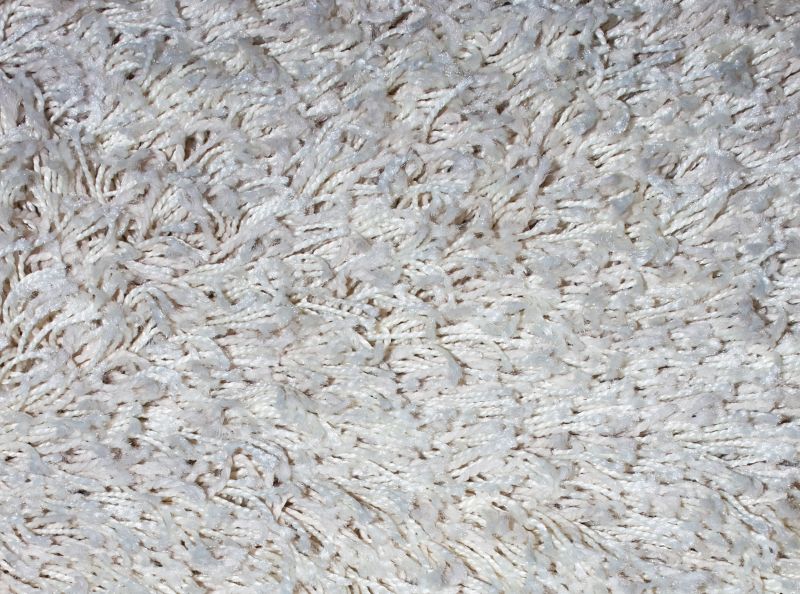 Clean and Fresh Carpets