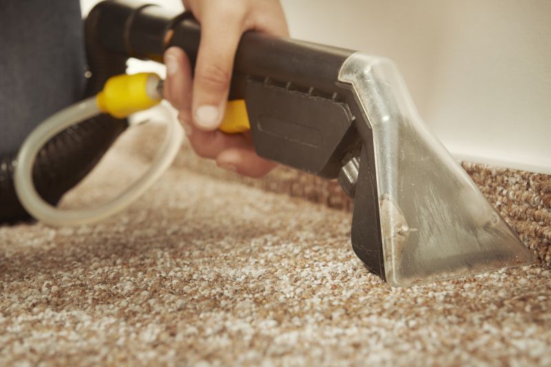 Emergency Carpet Cleaning Services